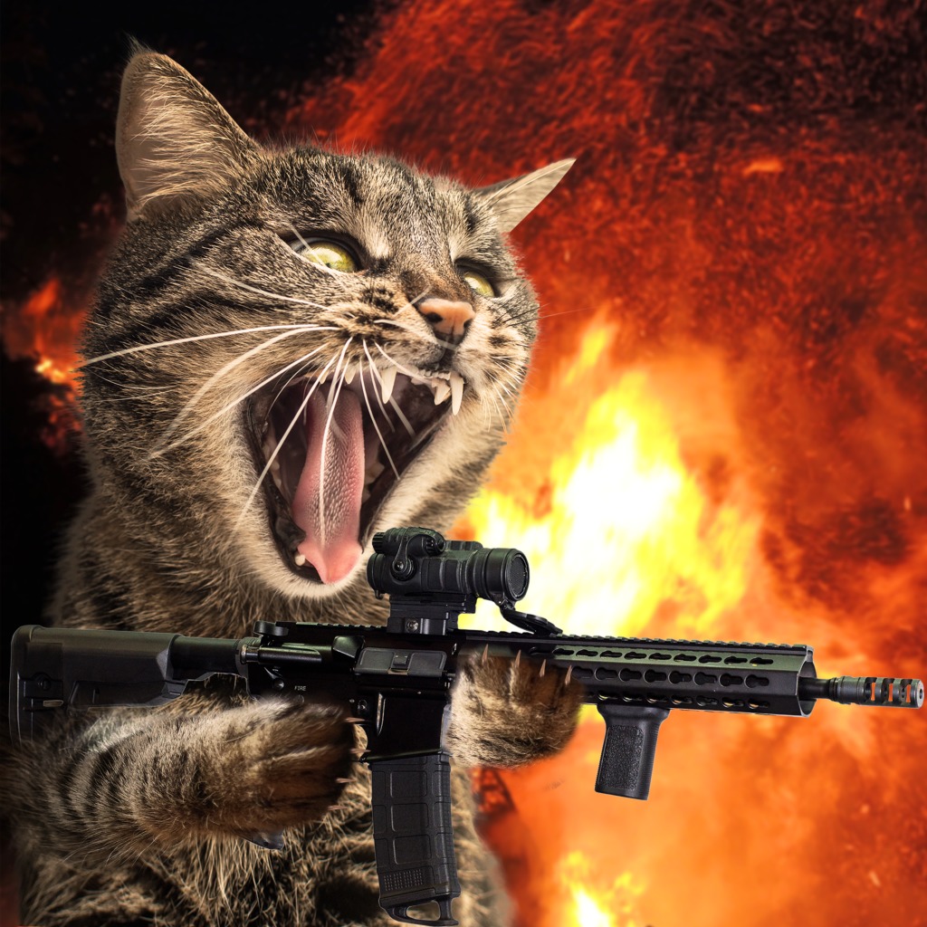 Puzzle Showdown 4k Raging Cat Avatar Ps4 Buy Online And Track