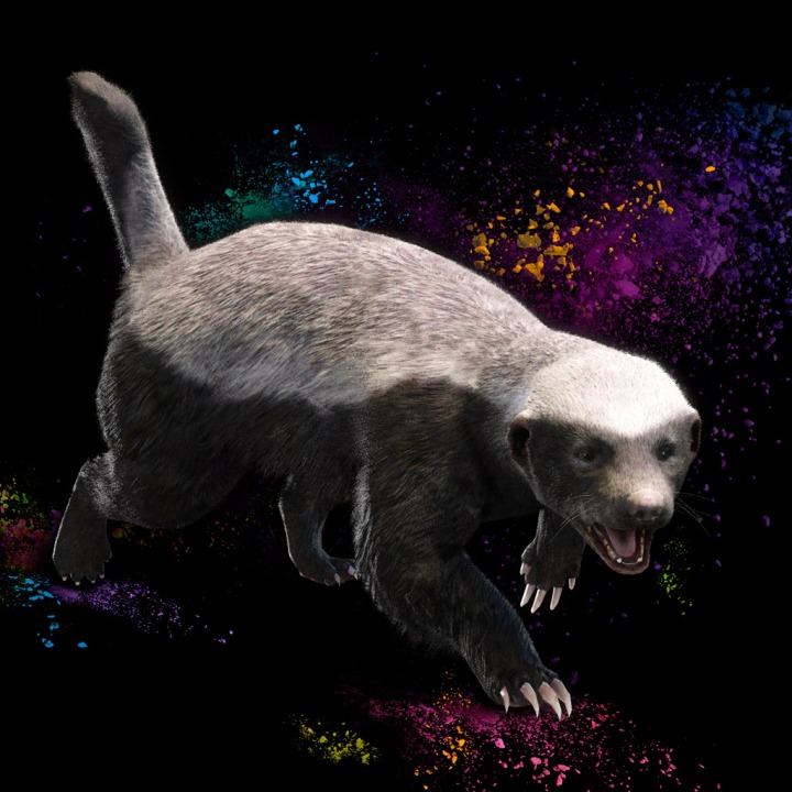 Far Cry ® 4 - Honey Badger Avatar PS3 - buy online and track