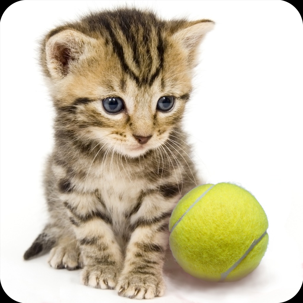 vr tennis ps4