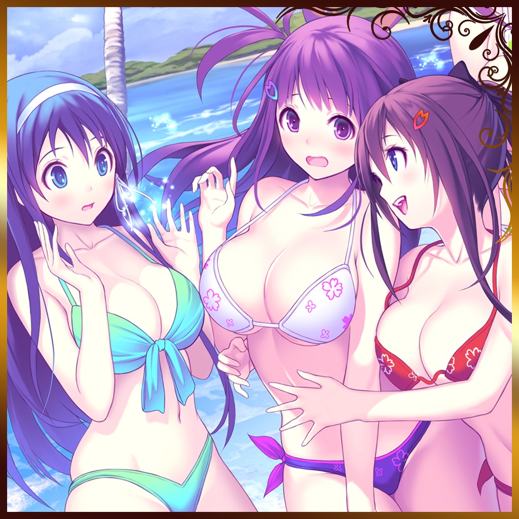 valkyrie drive ps vita