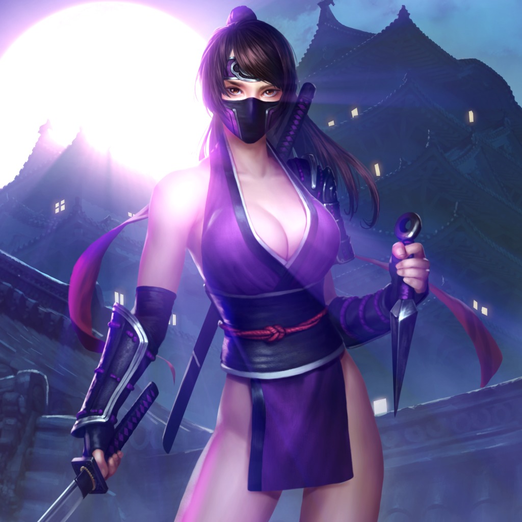 Briks 2 Ana Ninja Rooftop Hd Dynamic Theme 2 Ps4 Buy Online And Track Price History Ps Deals Ceska Republika