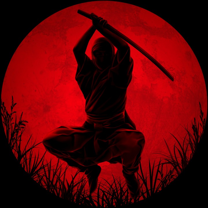 XPOSED - Blood Moon Ninja Assassin Avatar PS4 — buy online and track price history — PS Finland