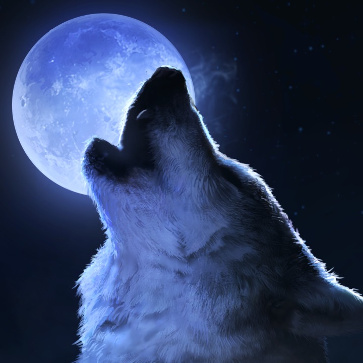 Xposed Full Moon Wolf Avatar Ps4 — Buy Online And Track Price Ps Deals Ireland