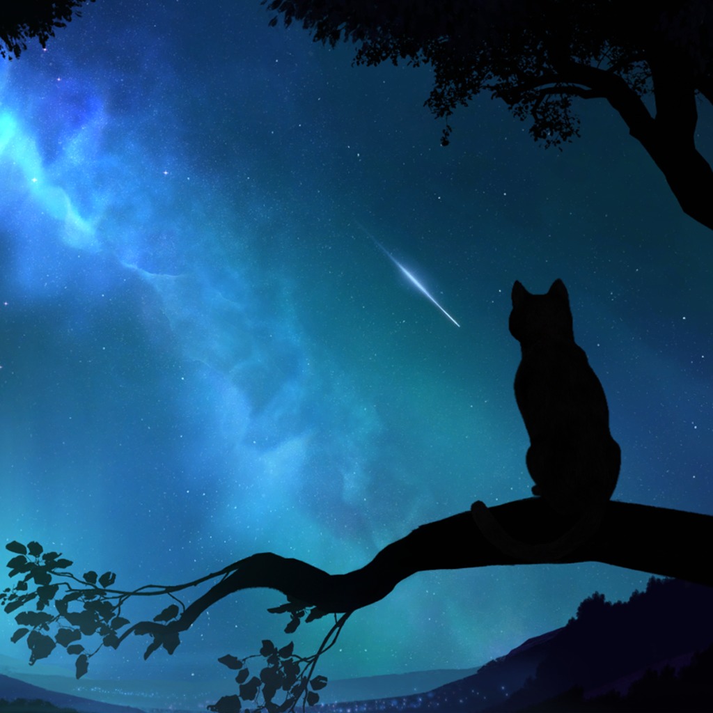 Xposed Good Night Cat Dynamic Theme On Ps4 Official