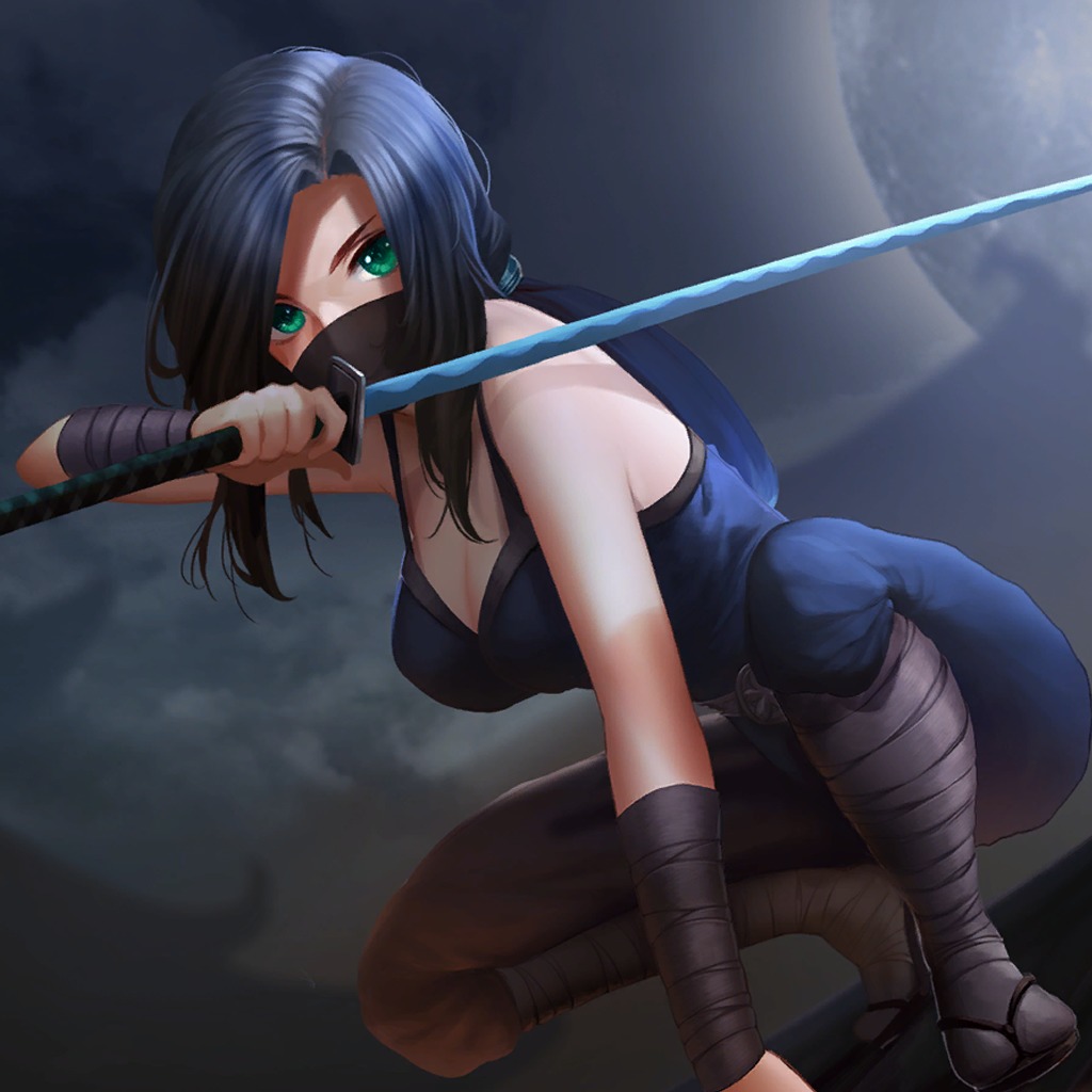 Briks 2 Ninja Hd 3d Dynamic Theme Ps4 Buy Online And Track Price History Ps Deals Polska