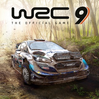 WRC 9 Fia World Rally Championship PS4 & PS5