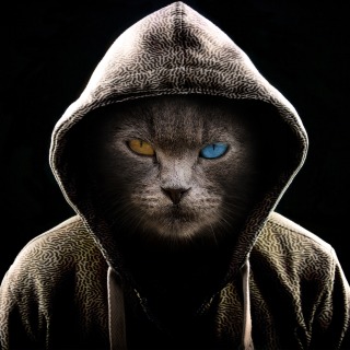 Hooded Cat Avatar on PS4 — price history, screenshots, discounts • USA