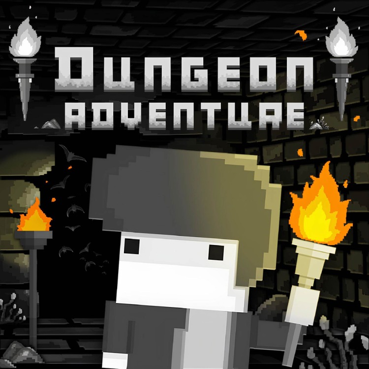 Dungeon Adventure - PS4 - (PlayStation)