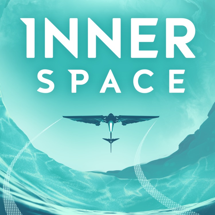 InnerSpace - PS4 - (PlayStation)