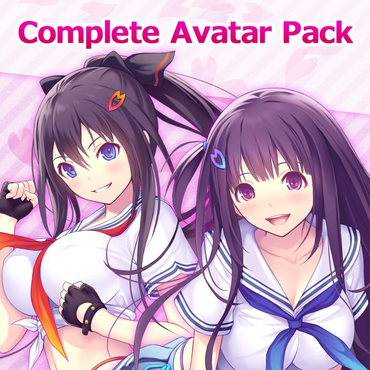 VALKYRIE DRIVE -BHIKKHUNI- Complete Avatar Pack + Bonus PS4 — buy