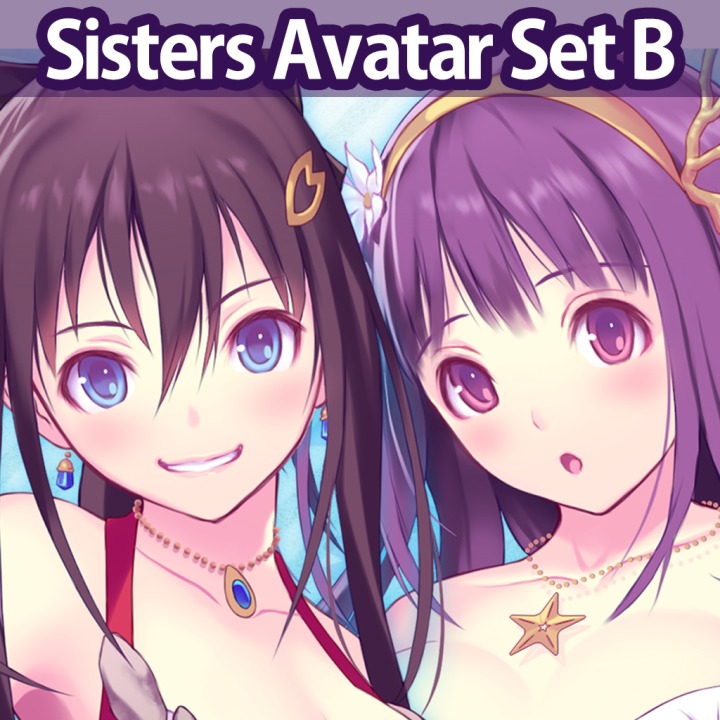 VALKYRIE DRIVE -BHIKKHUNI- Sisters Avatar Set B PS4 — buy online