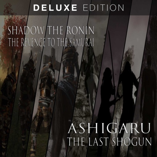 The Ronin Deluxe for playstation