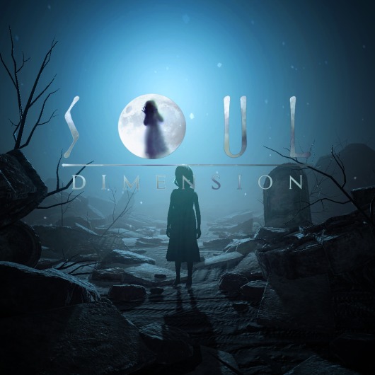 Soul Dimension for playstation
