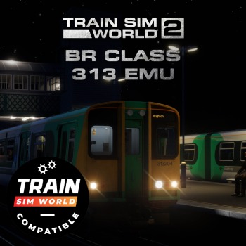 Train Sim World®: BR 313 TSW2 & TSW3 Compatible