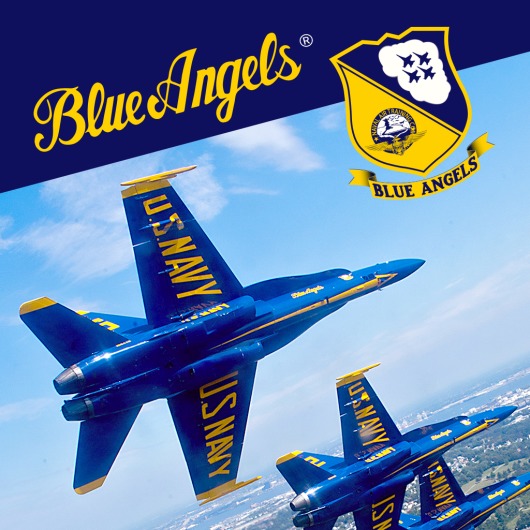 Blue Angels Aerobatic Flight Simulator for playstation