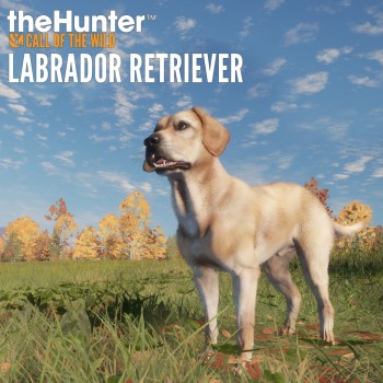 theHunter: Call of the Wild™ - Labrador Retriever