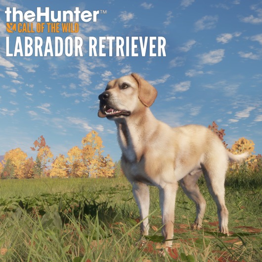 theHunter: Call of the Wild™ - Labrador Retriever for playstation