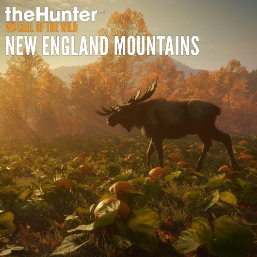 theHunter: Call of the Wild™ - New England Mountains for playstation