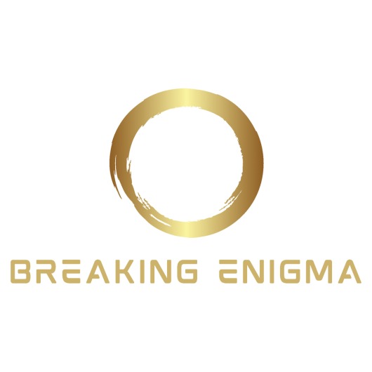 Breaking Enigma for playstation