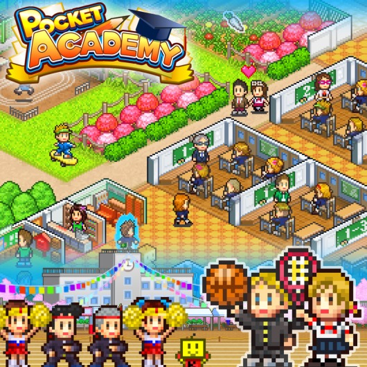 Pocket Academy for playstation