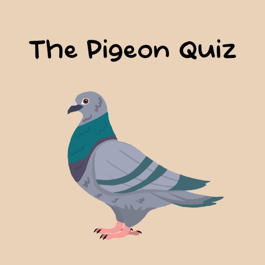 The Pigeon Quiz for playstation
