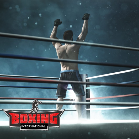 International Boxing for playstation