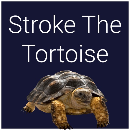 Stroke The Tortoise for playstation