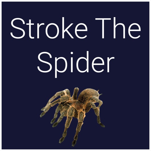 Stroke The Spider for playstation