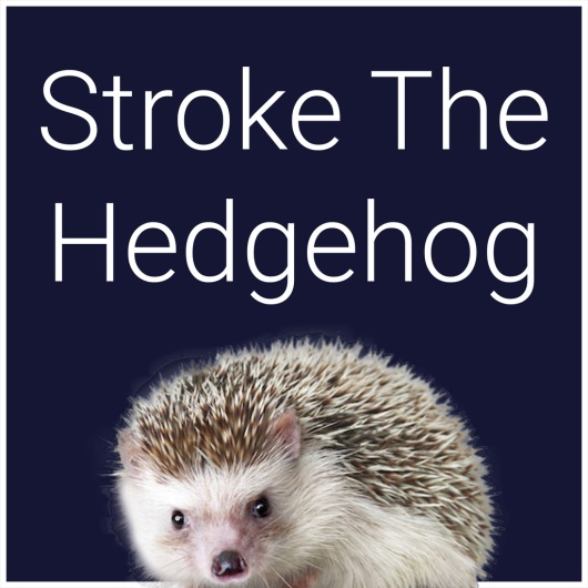 Stroke The Hedgehog for playstation
