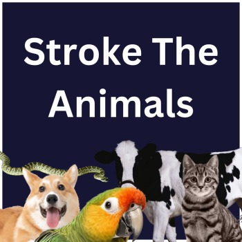 Stroke The Animals