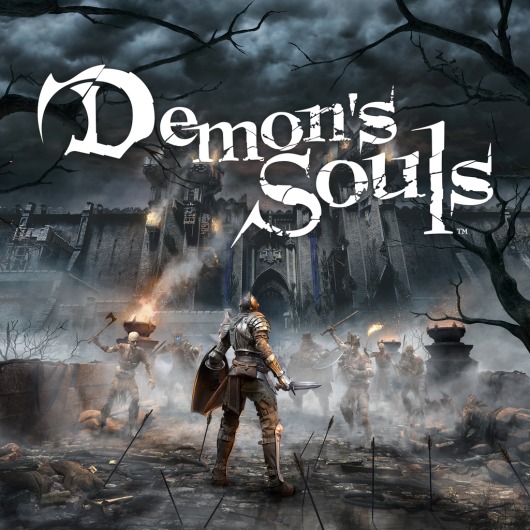 Demon's Souls for playstation